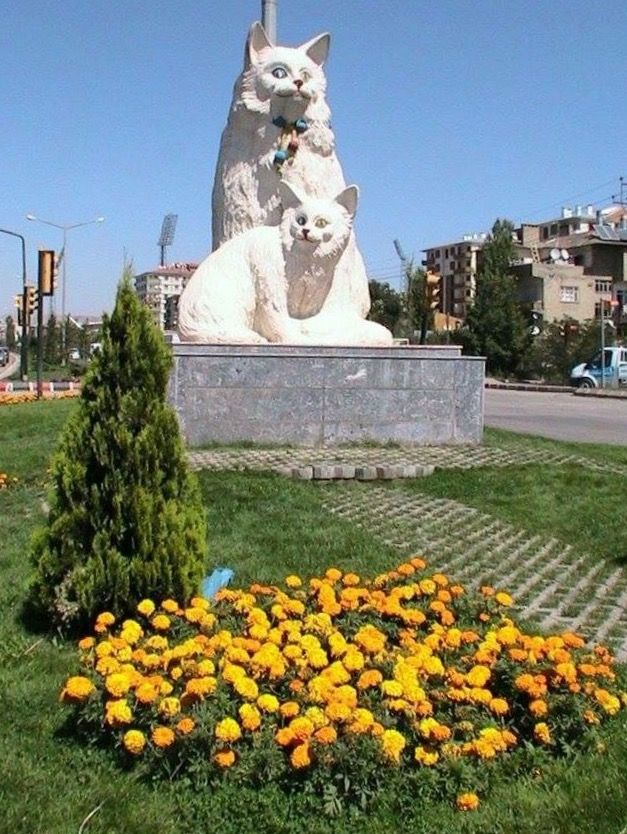 گشت آپشنال 